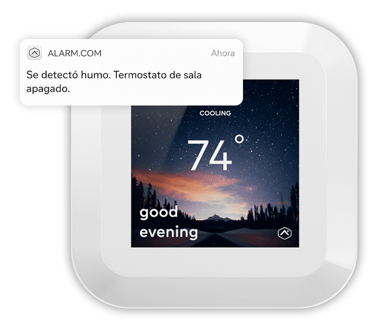 Mobile App